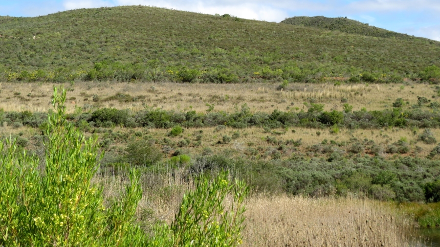 Commercial Property for Sale in Swellendam Rural Western Cape